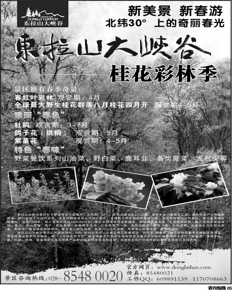 b65  东拉山-艾军