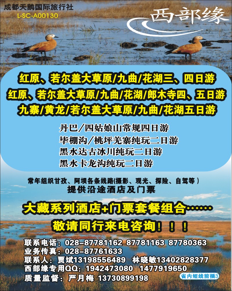 b前插3