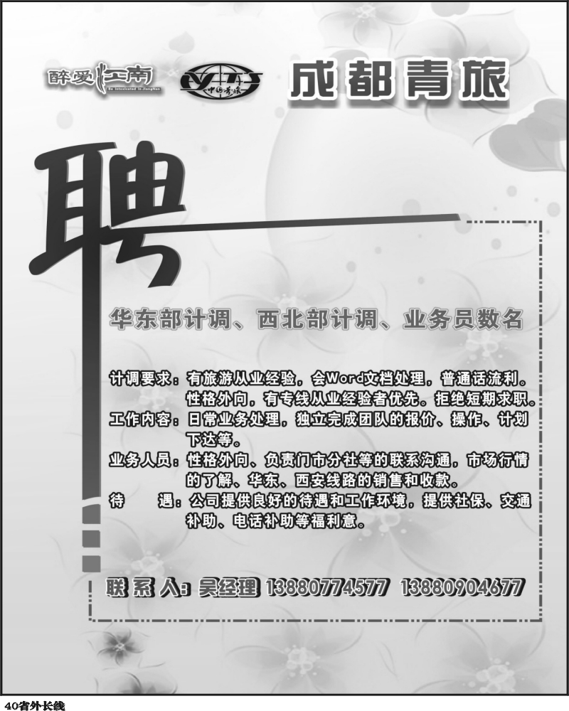r40 醉江南 青旅招聘