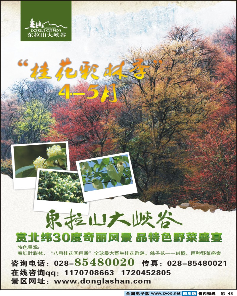0b彩43   东拉山