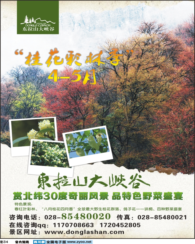 1b彩34  东拉山