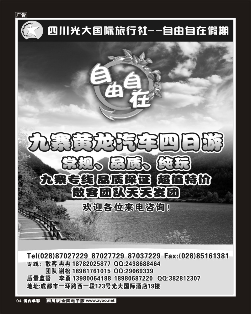 b单彩4  自由自在