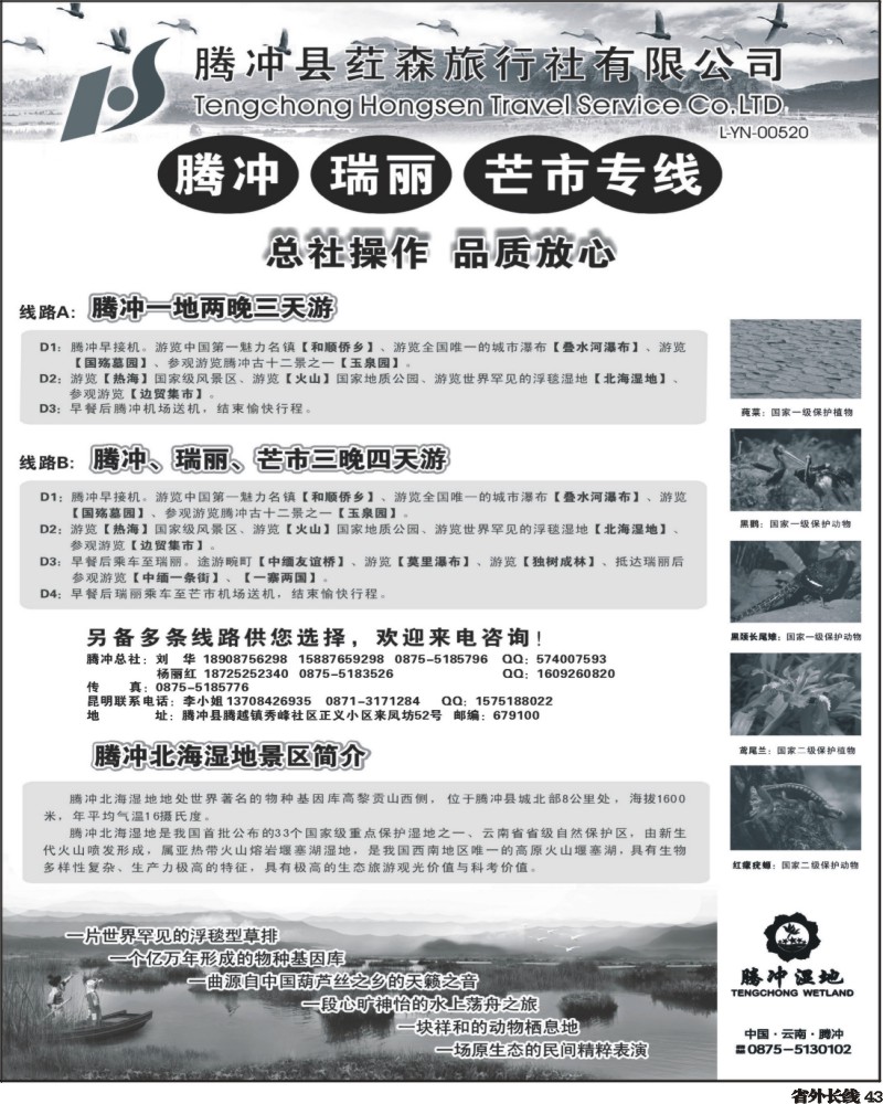 r43   386期云南陈小艳-云南腾冲荭森旅行社有限公司（山西、青岛、东北、河北、天津、北京、无锡、浙江、重庆、上海、内蒙）