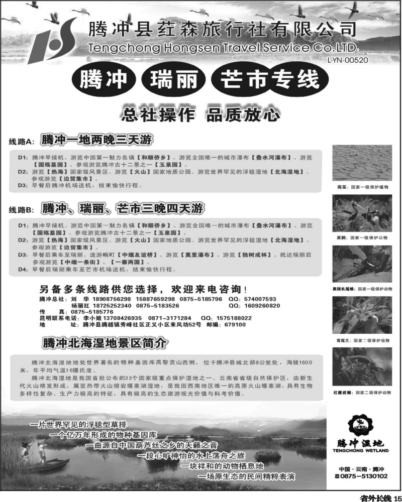 r15   396期云南陈小艳-云南腾冲荭森旅行社有限公司（山西、青岛、东北、河北、天津、北京、无锡、浙江、重庆、上海、内蒙）