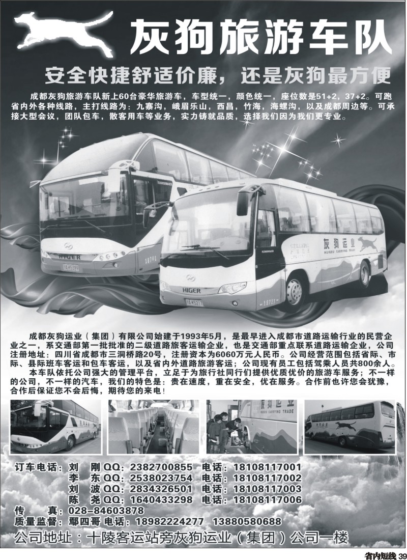 b39  灰狗旅游车队350