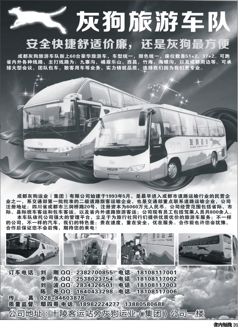 b31  灰狗旅游车队350
