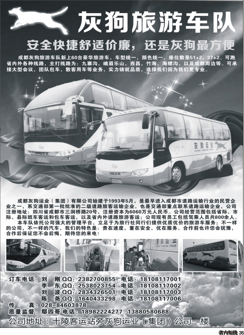 b35  灰狗旅游车队350