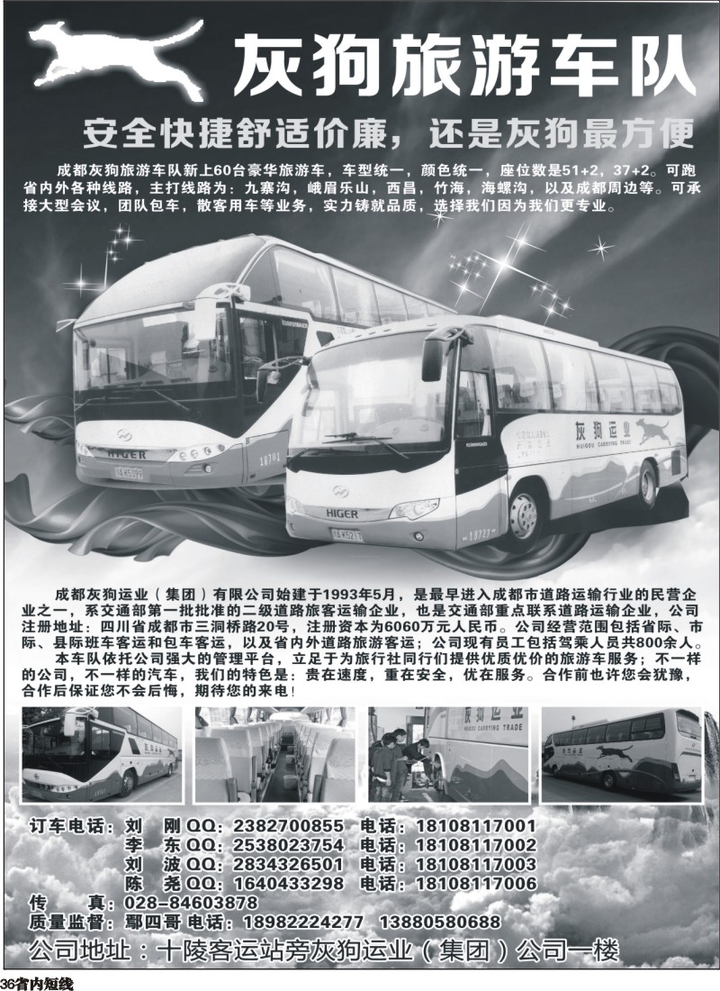 b36  灰狗旅游车队350