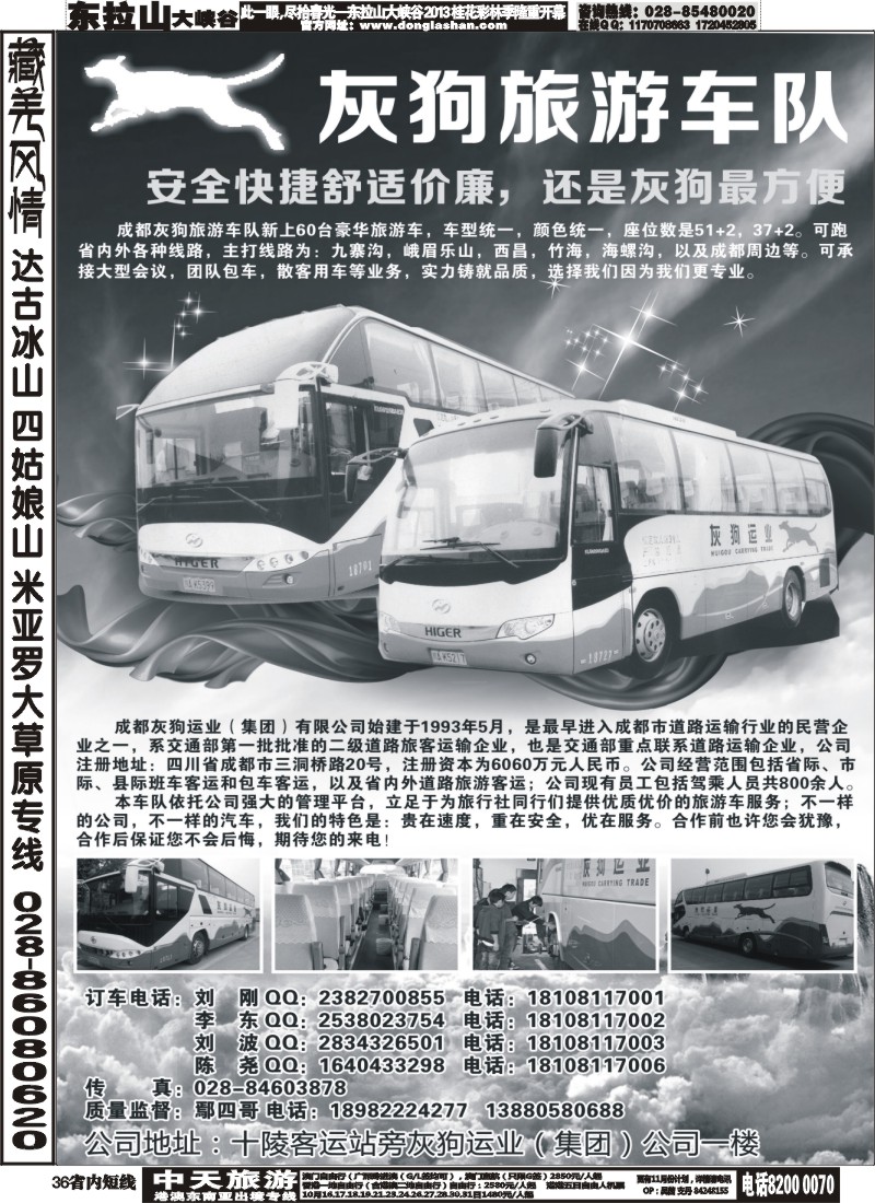 b36  灰狗旅游车队350