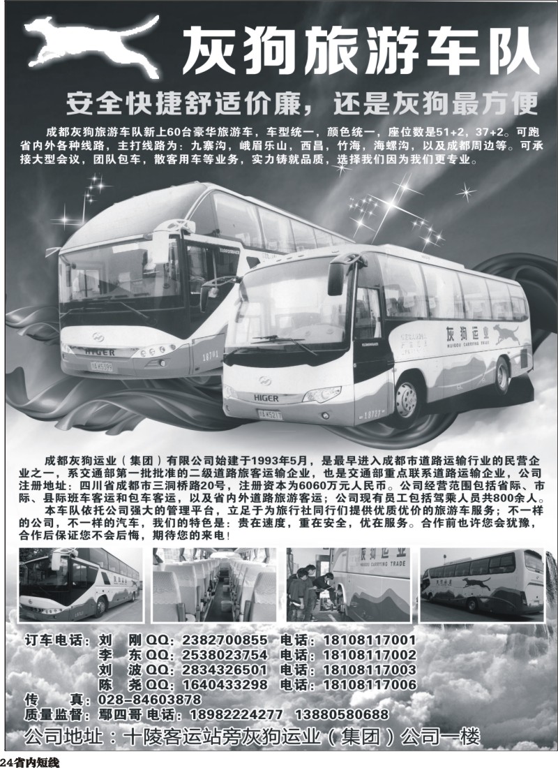 b24  灰狗旅游车队350