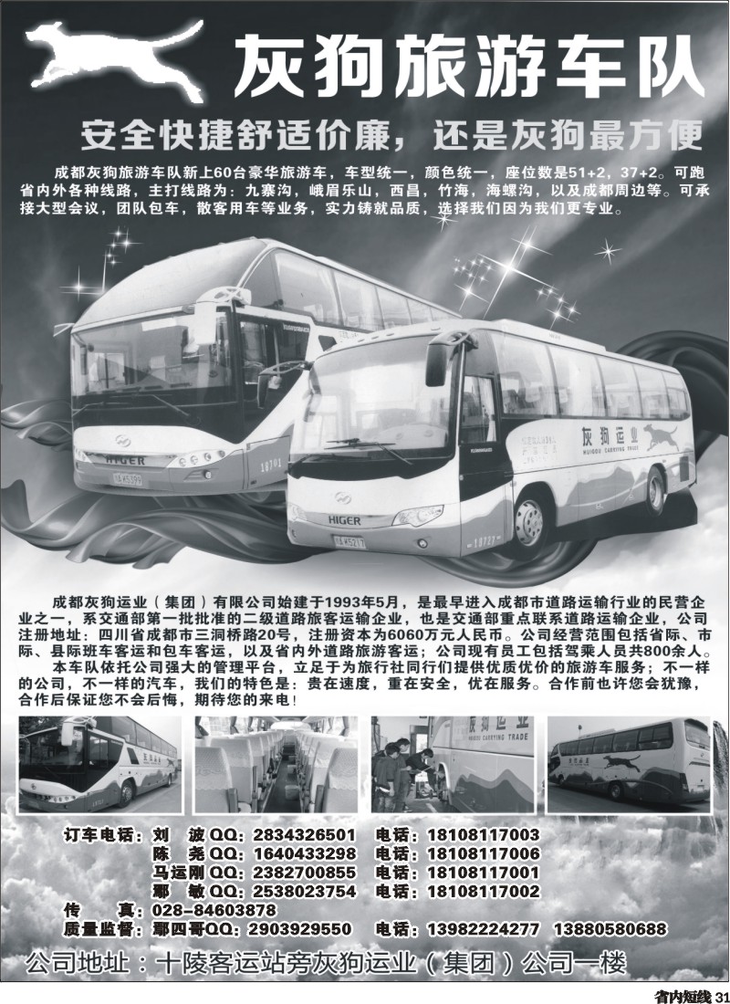 b31  灰狗旅游车队