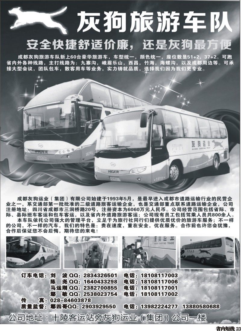 b23  灰狗旅游车队