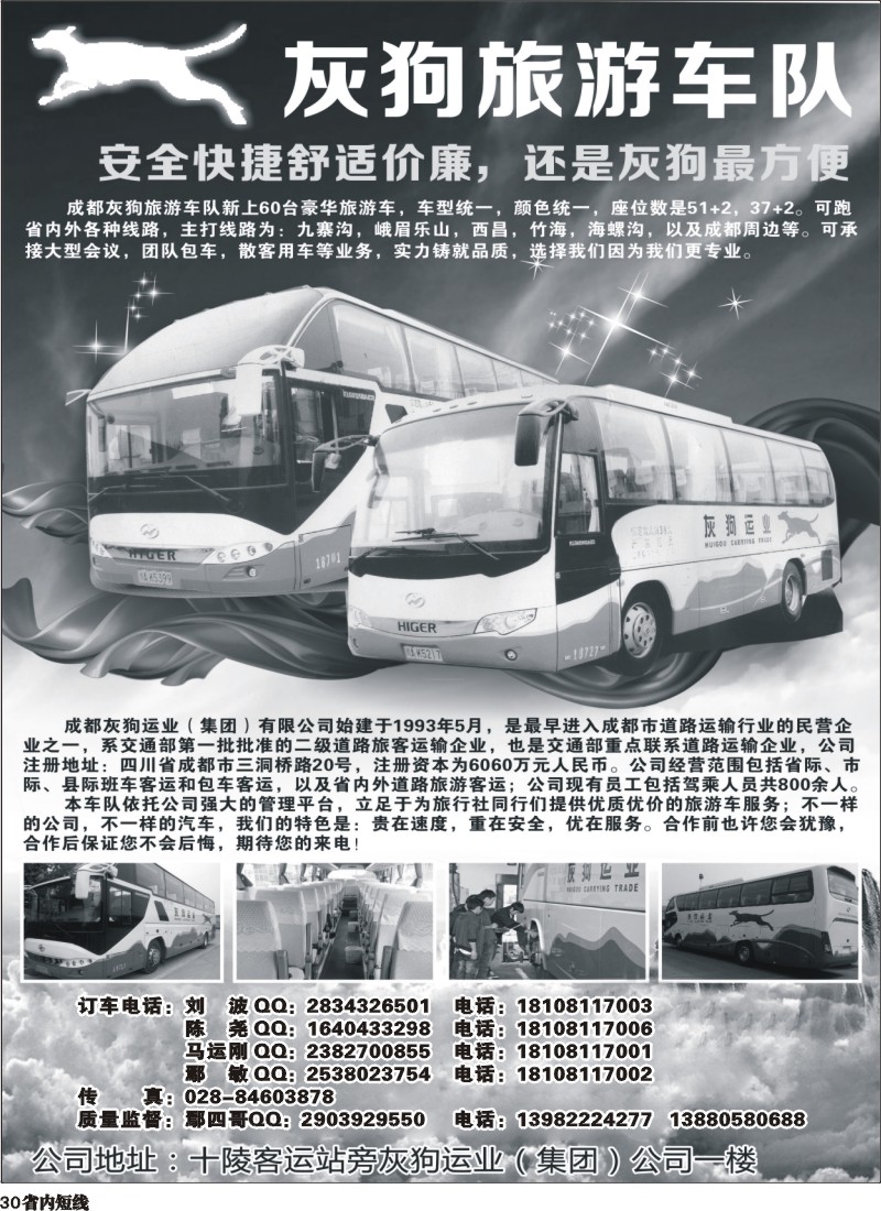 b30  灰狗旅游车队