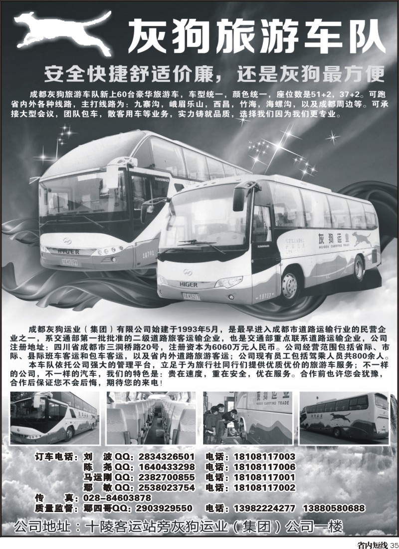 b36  灰狗旅游车队