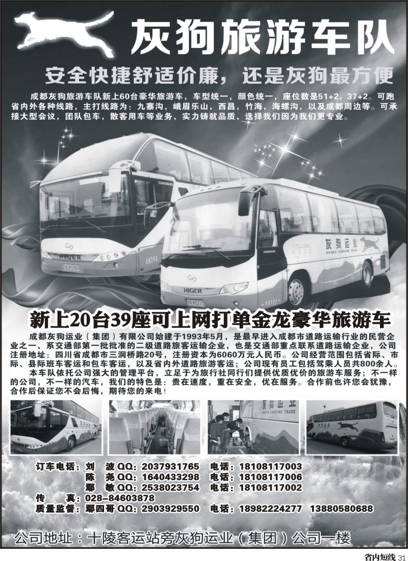 b31  灰狗旅游车队｛03175｝