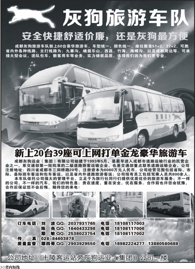 b30  灰狗旅游车队｛03175｝