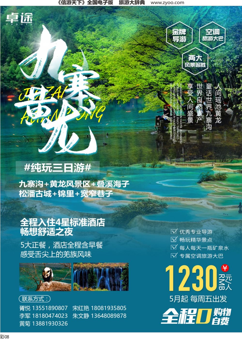 S彩008 鼎龙国旅1