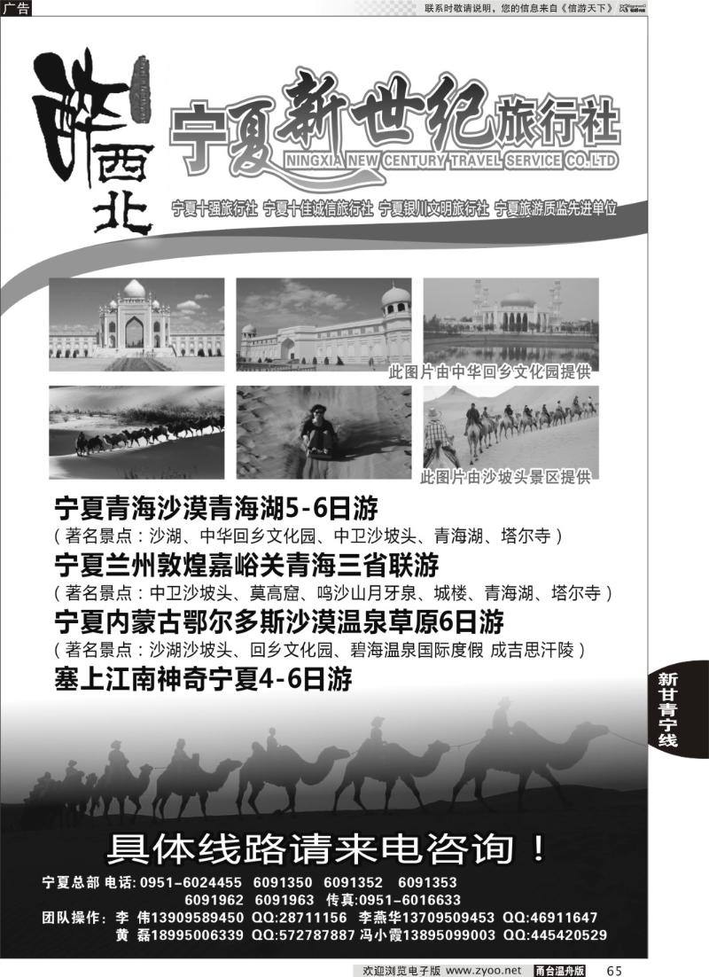65 宁夏新世纪旅行社