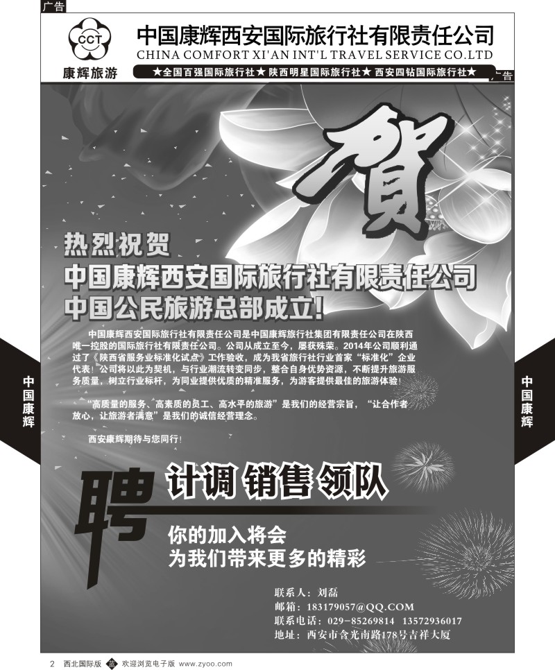 中插黄2  中国康辉-招聘