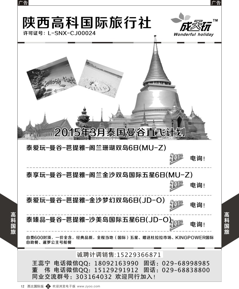 b黄012 胡 513期 高科国旅4P-4
