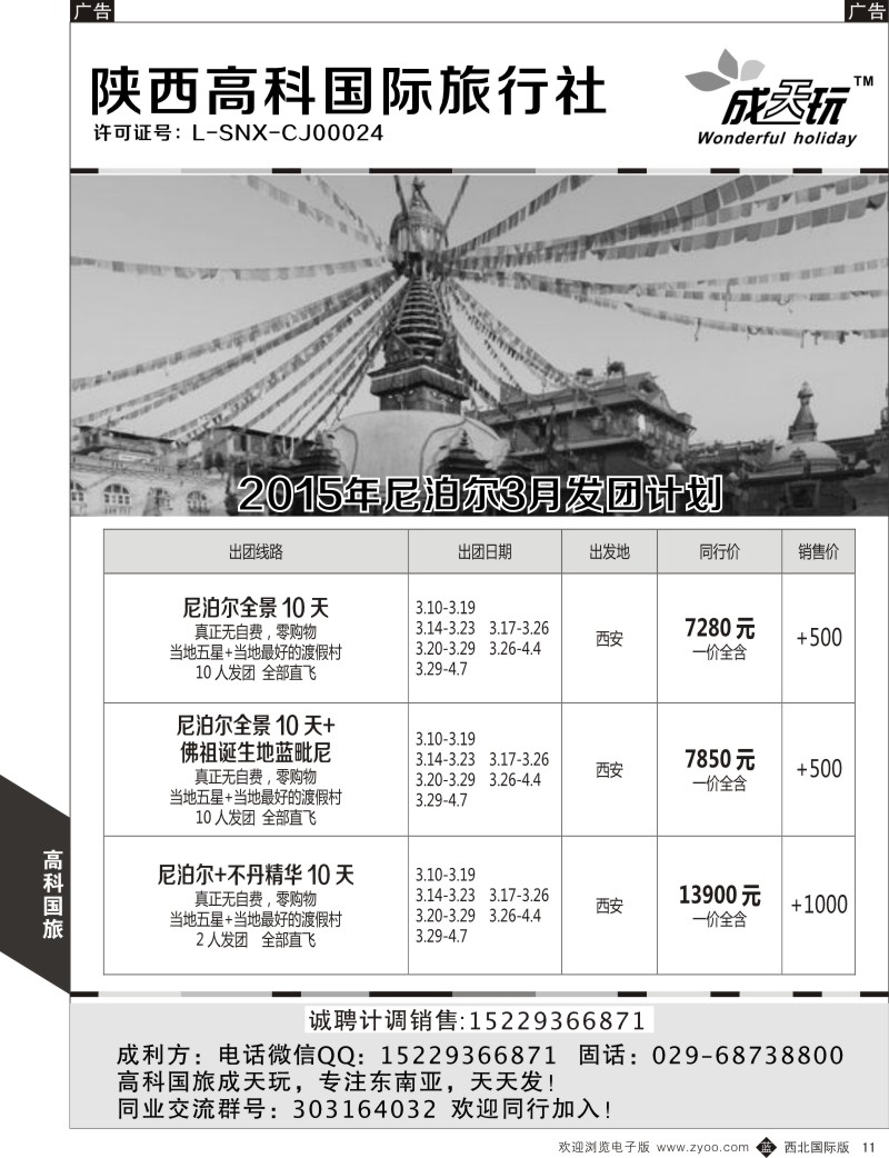b黄011 胡 513期 高科国旅4P-3