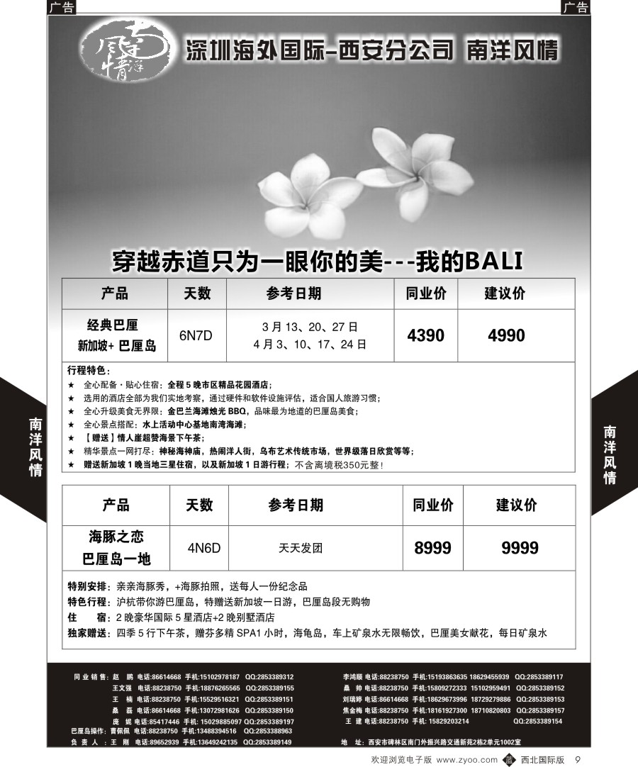 b黄009  南洋风情-经典巴厘 .海豚之恋