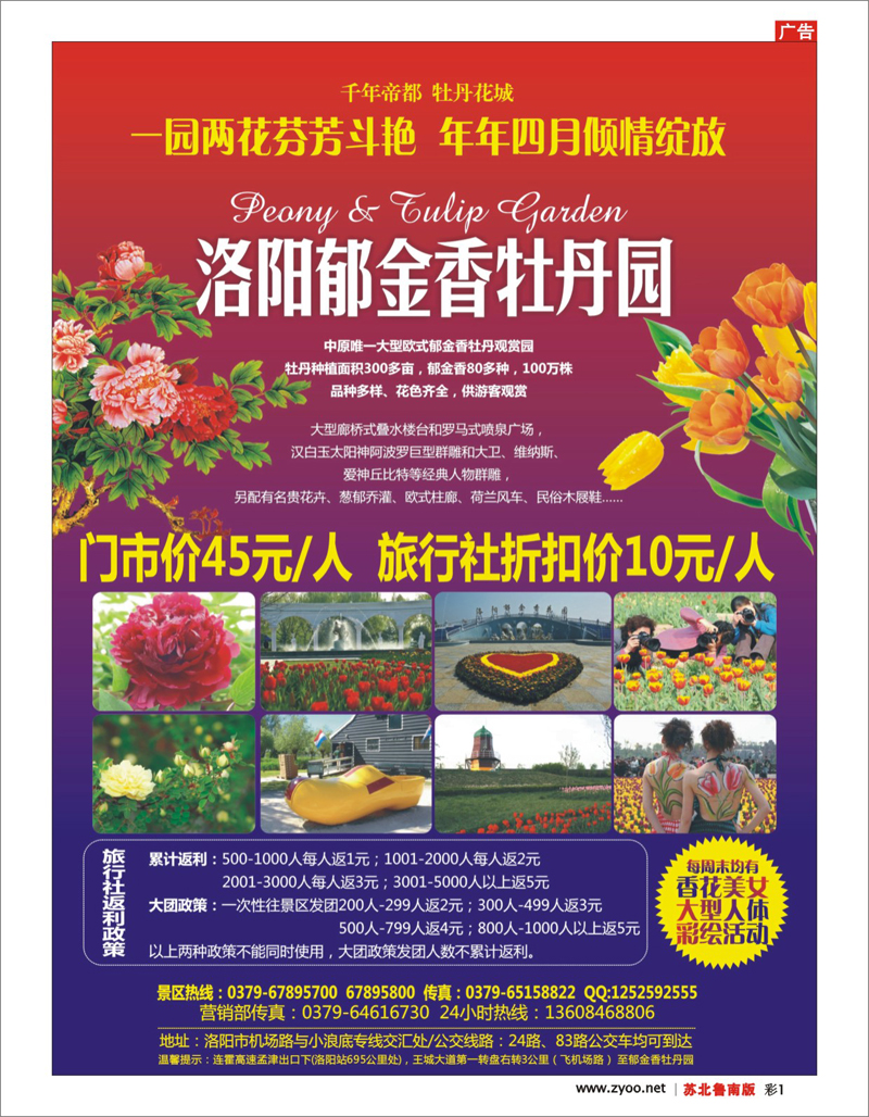 彩1 河南.山西.陕西.宁夏.青海.新疆.内蒙篇 洛阳郁金香牡丹园