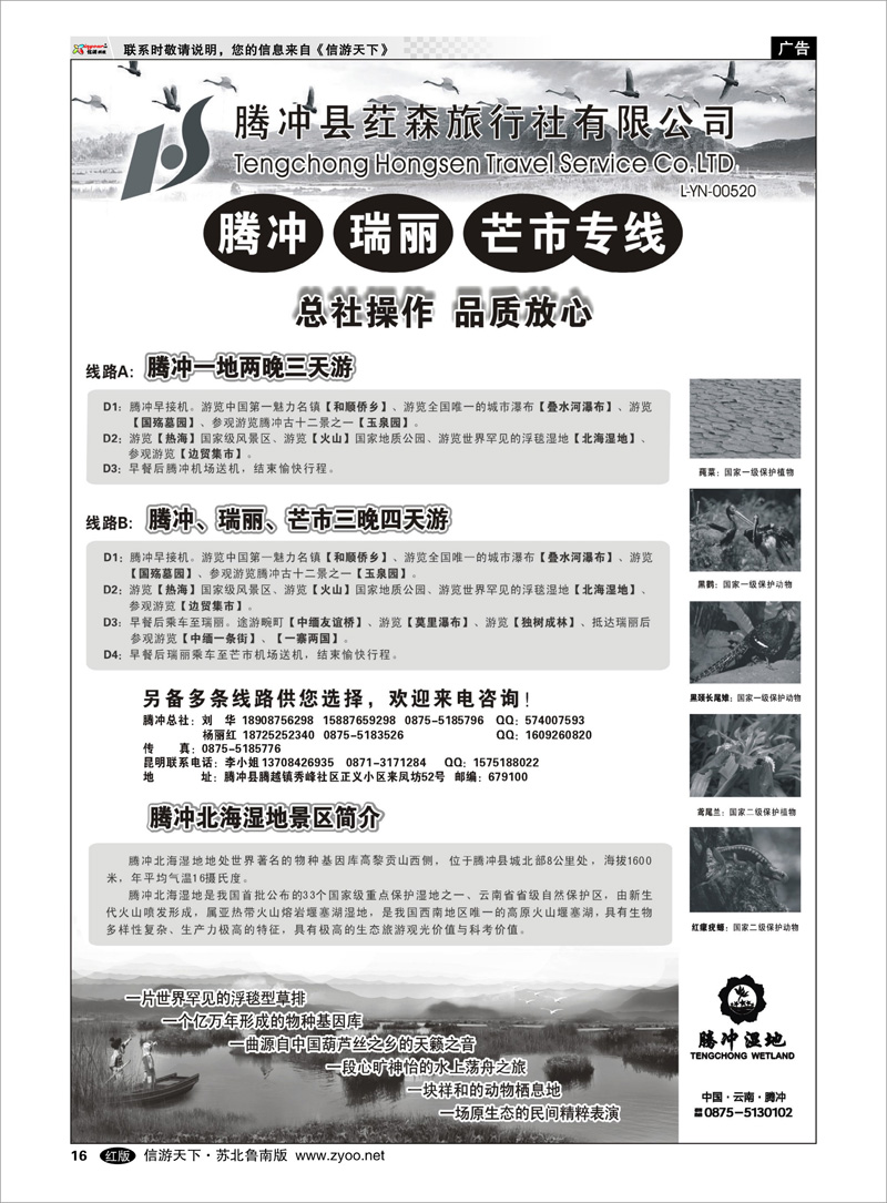 16 云南腾冲荭森旅行社-腾冲、瑞丽、芒市专线