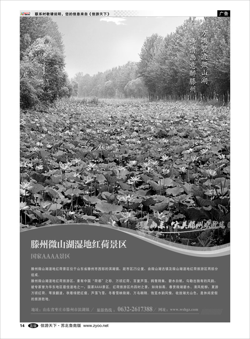 14 山东省滕州市微山湖湿地红荷风景区 山东.河南篇