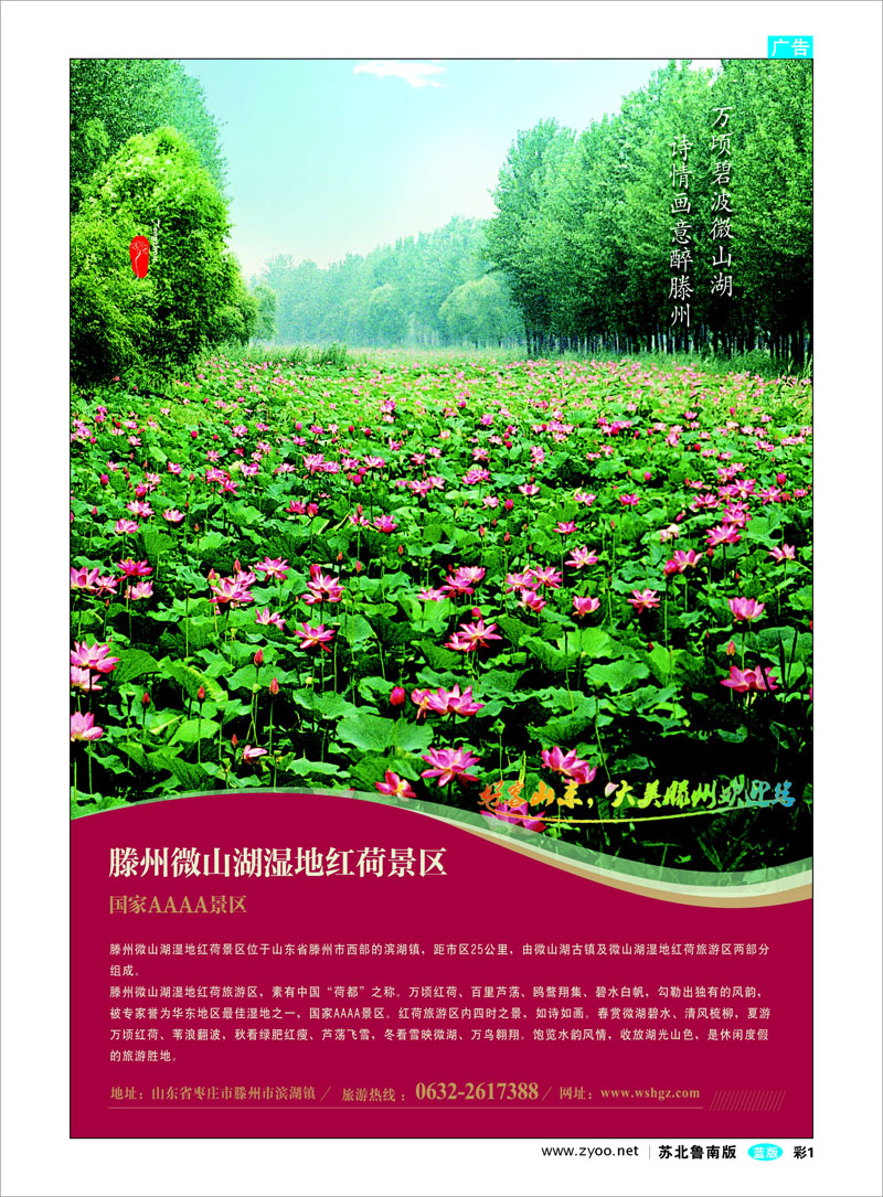 01 山东省滕州市微山湖湿地红荷风景区