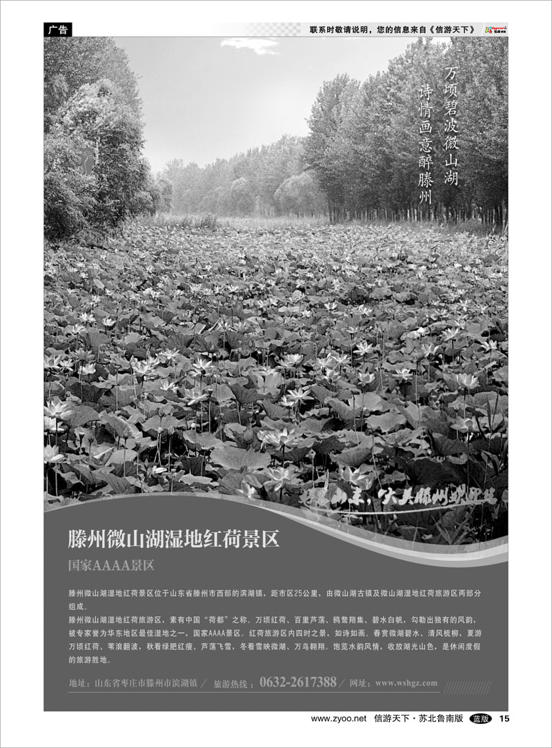 15 山东省滕州市微山湖湿地红荷风景区 山东.河南篇