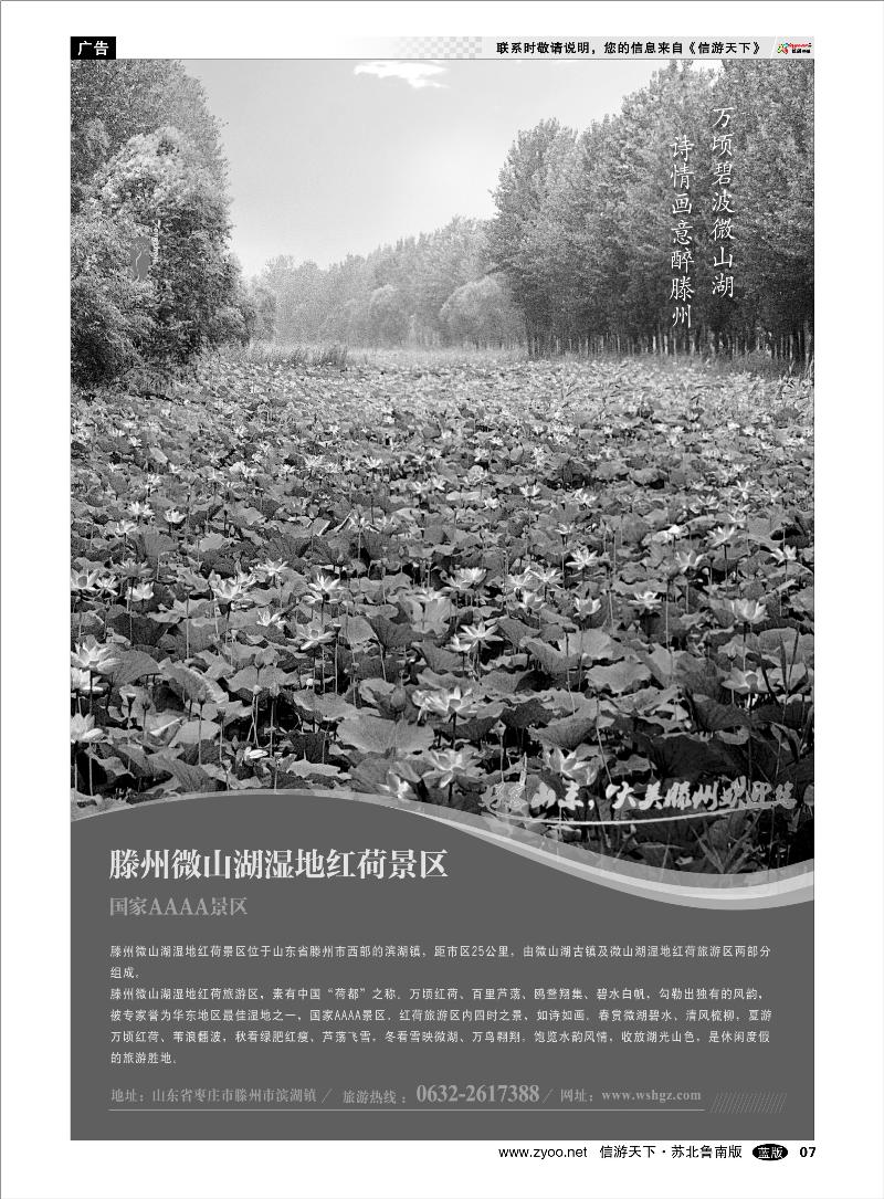 07 山东省滕州市微山湖湿地红荷风景区 山东.河南篇