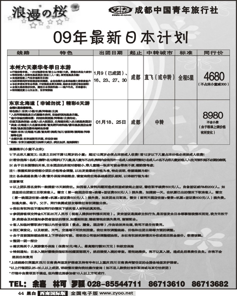 44 市青旅 浪漫之樱