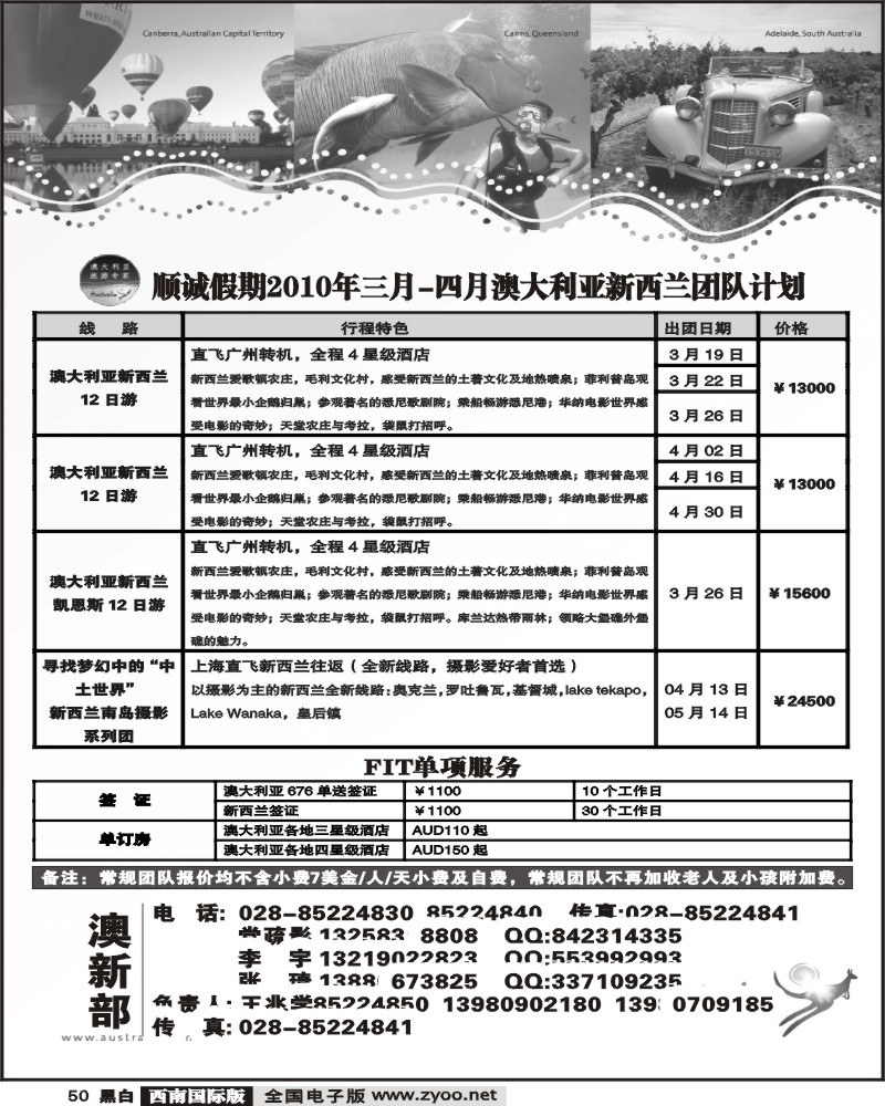 50 省青 顺诚假期