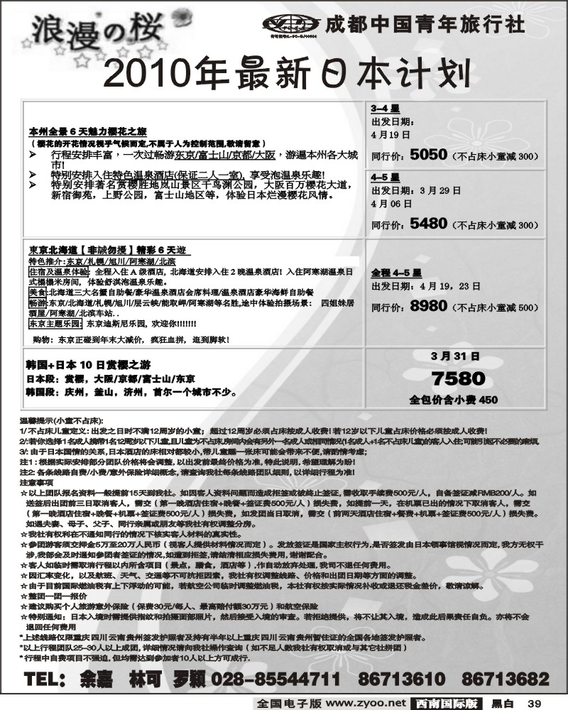 39 市青旅 浪漫之樱