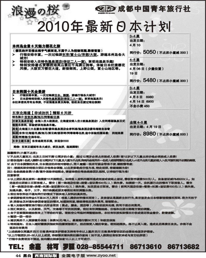 44 市青旅 浪漫之樱