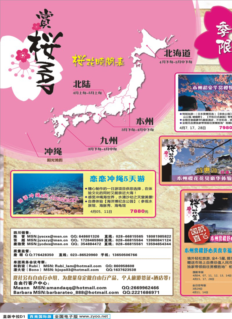 L中拉D1   富士游