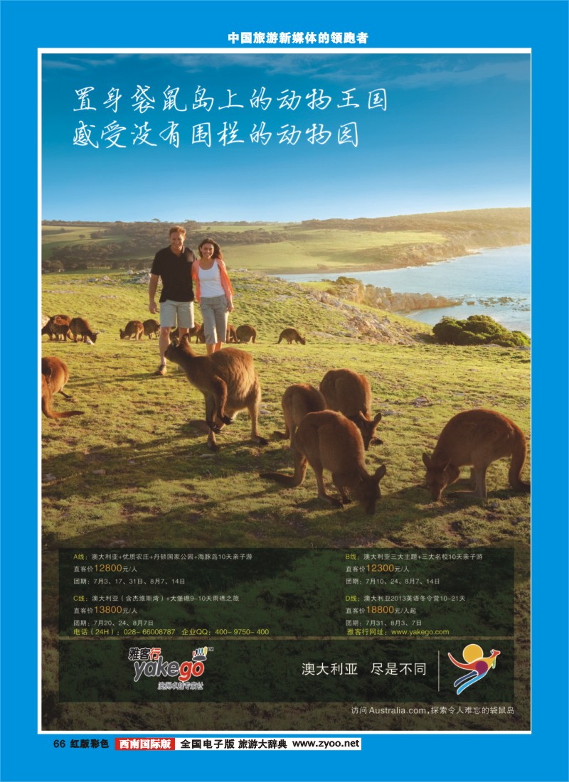 H彩66  雅客行澳新