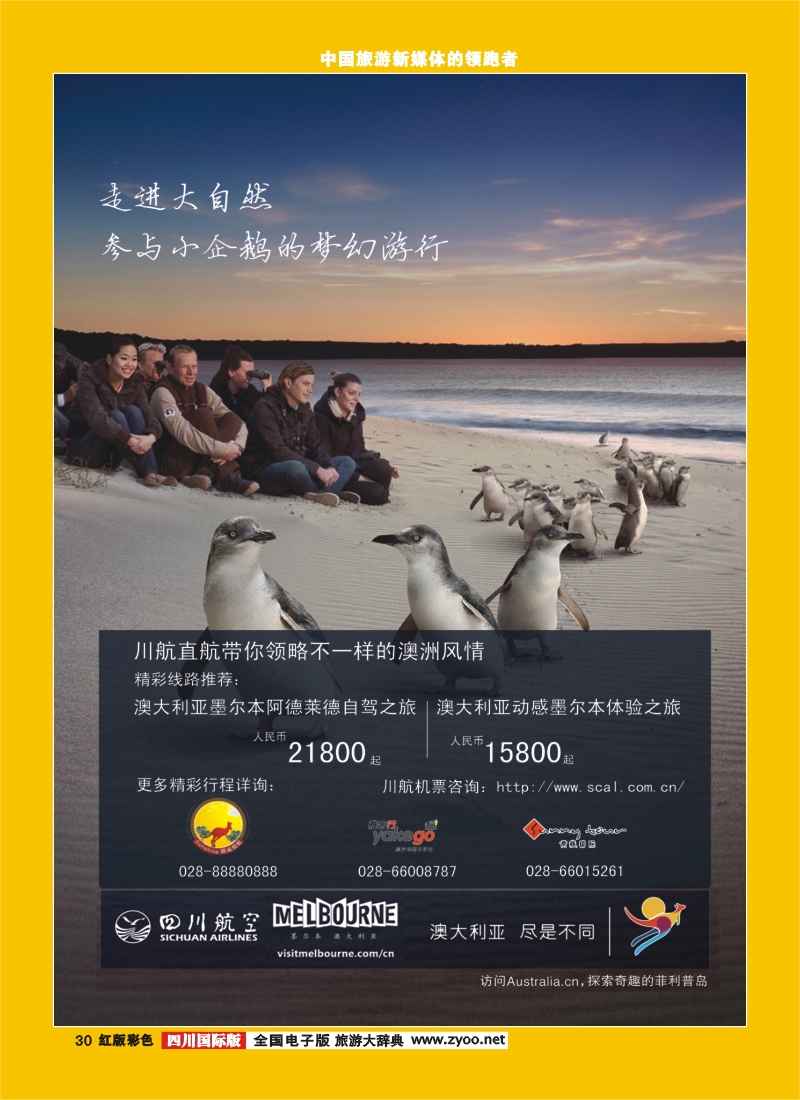 H彩30顺城春节计划
