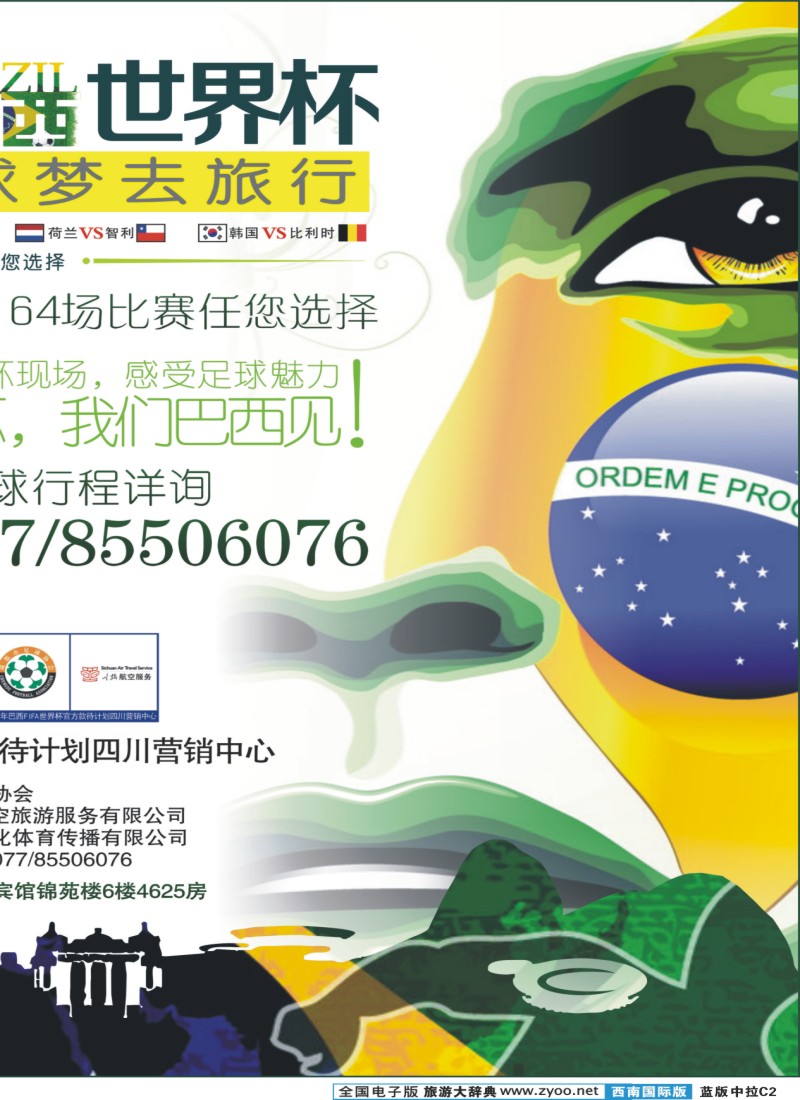 L中拉C2  狂欢巴西世界杯