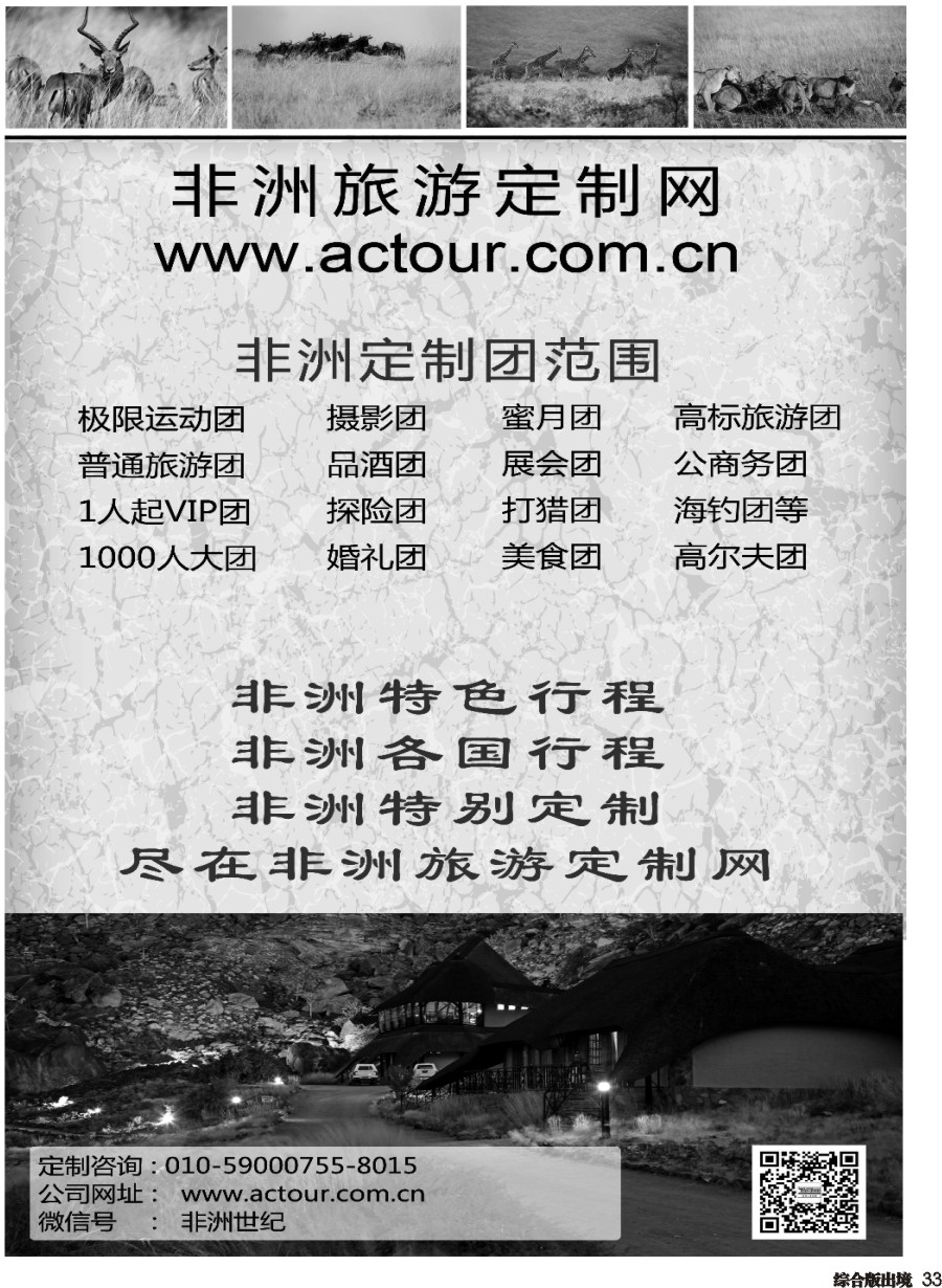 H033  非洲旅游定制网