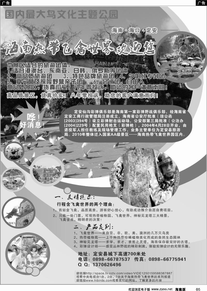黑白5海南热带飞禽世界