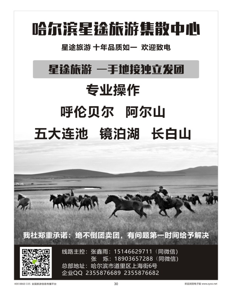 30     香港地接社-金腾旅游
