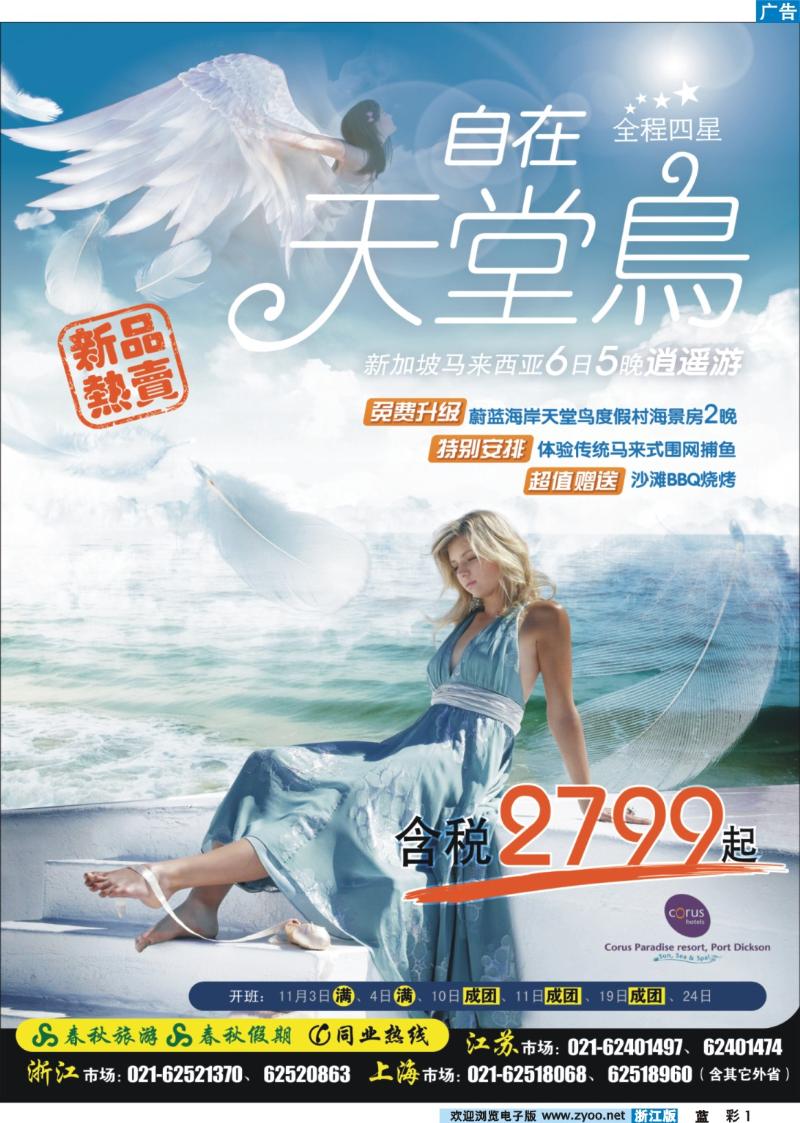 彩1  春秋假期●新品热卖——“自在天堂鸟”