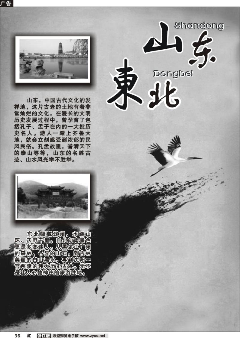36 山东东北专版