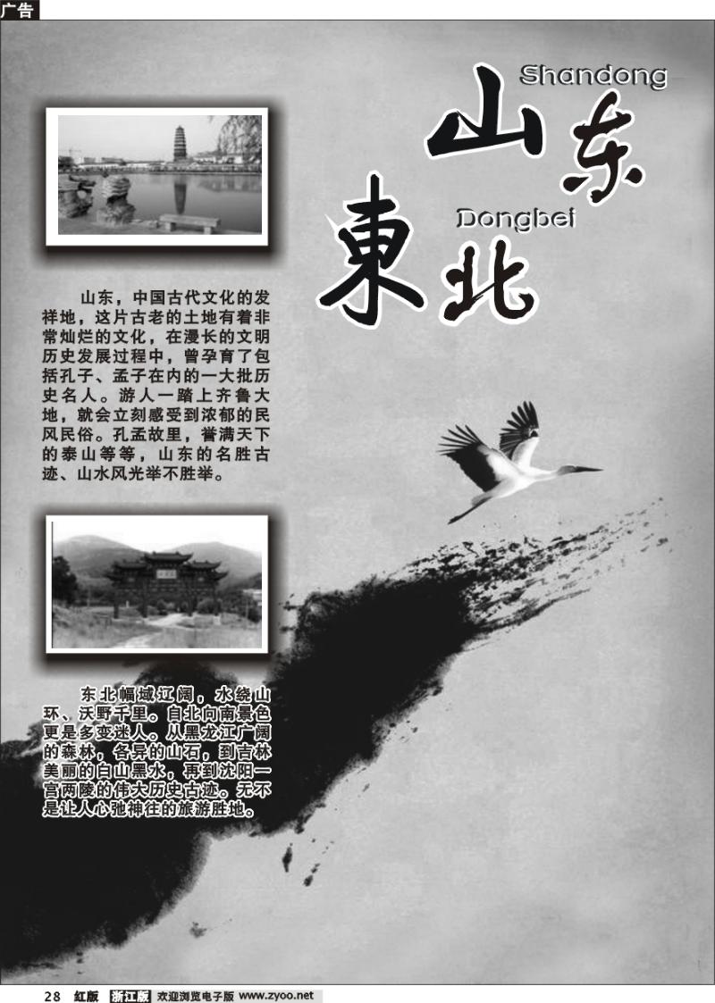 28 山东东北专版