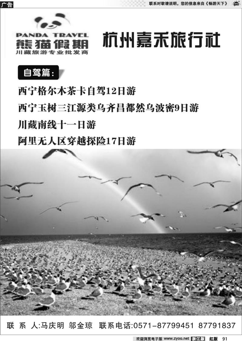 91 熊猫假期