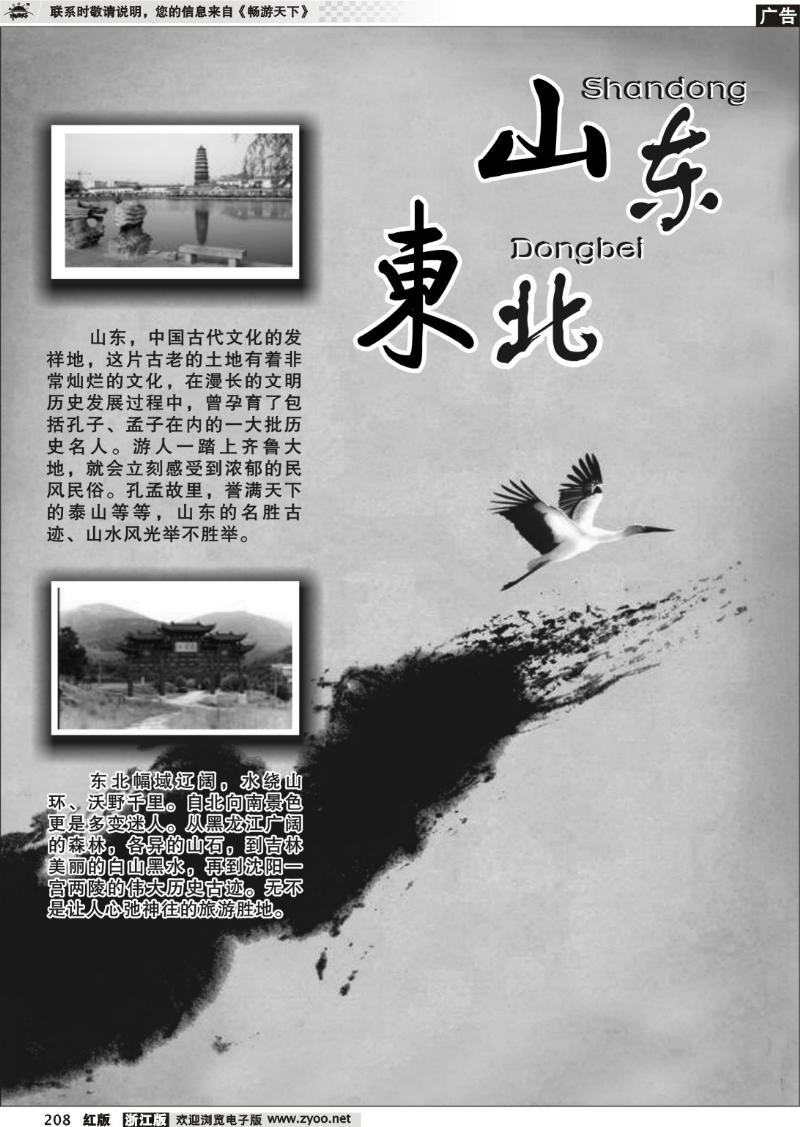 208 山东东北专版