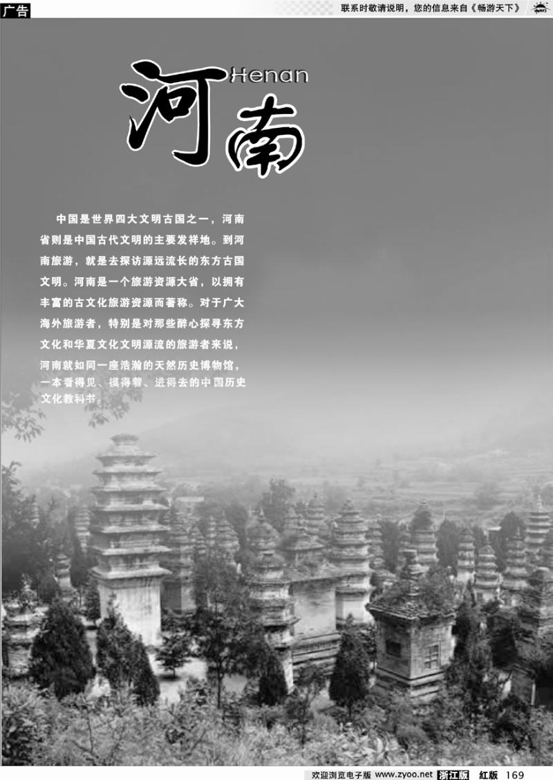 169 河南专版