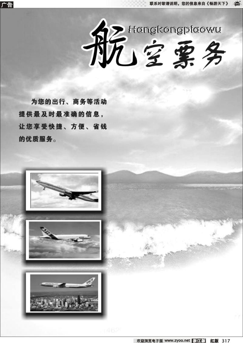 317 航空票务专版